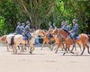 PM forma 10 militares no Curso de Policiamento Montado