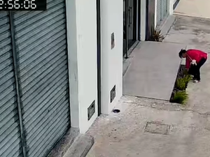 Mulheres são flagradas furtando plantas de jardim em Delmiro Gouveia