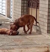 Tutora de pitbulls que mataram cachorro de rua em Maceió é levada à delegacia