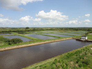 Piscicultura sustentável é tema de capacitação promovida pela Codevasf em Alagoas