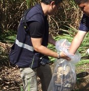Ossada humana é encontrada em mata em São Miguel dos Campos