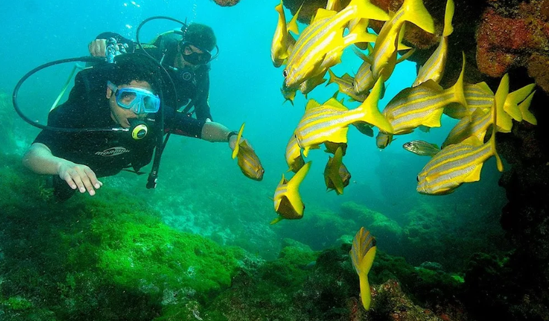 Taxa de visitação de Fernando de Noronha sobe e fica acima dos R$ 100 por dia