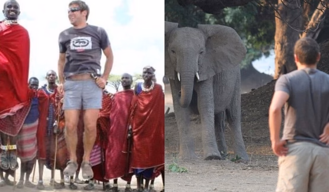 Dono de safári morre pisoteado por elefante na África do Sul