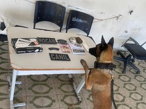 Adolescente é apreendido por tráfico de drogas no Residencial Agreste, em Arapiraca