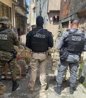 MPs de AL e BA desarticulam e denunciam organização que comandava maior tráfico de aves do país