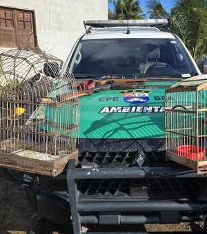 PM apreende armas e resgata animais durante fiscalização ambiental em Piaçabuçu