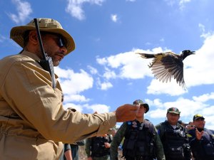 FPI devolve 335 animais silvestres à natureza