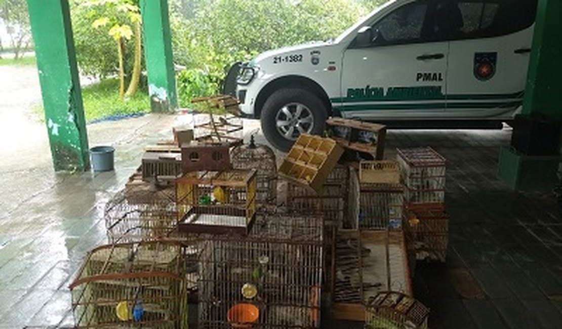 BPA resgata mais de 100 animais comercializados ilegalmente em feiras livres