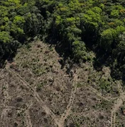 Biden vai anunciar US$ 500 milhões para Fundo Amazônia, diz Casa Branca