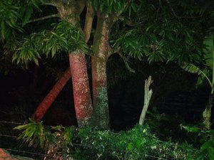 Corpo de mulher decapitada é encontrado às margens de lagoa em Coqueiro Seco