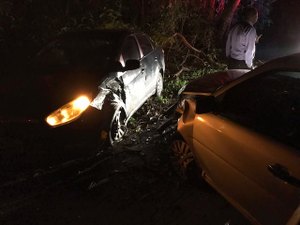 Árvore cai em pista e causa acidente de trânsito em Marechal Deodoro