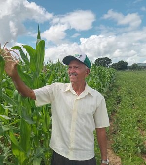 [Vídeo] Agricultores familiares de Igaci se preparam para colheita de grãos após Programa de Aração de Terras