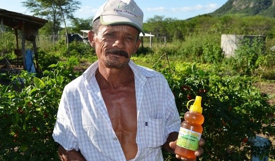 Agricultura familiar melhora vida de produtores no Sertão