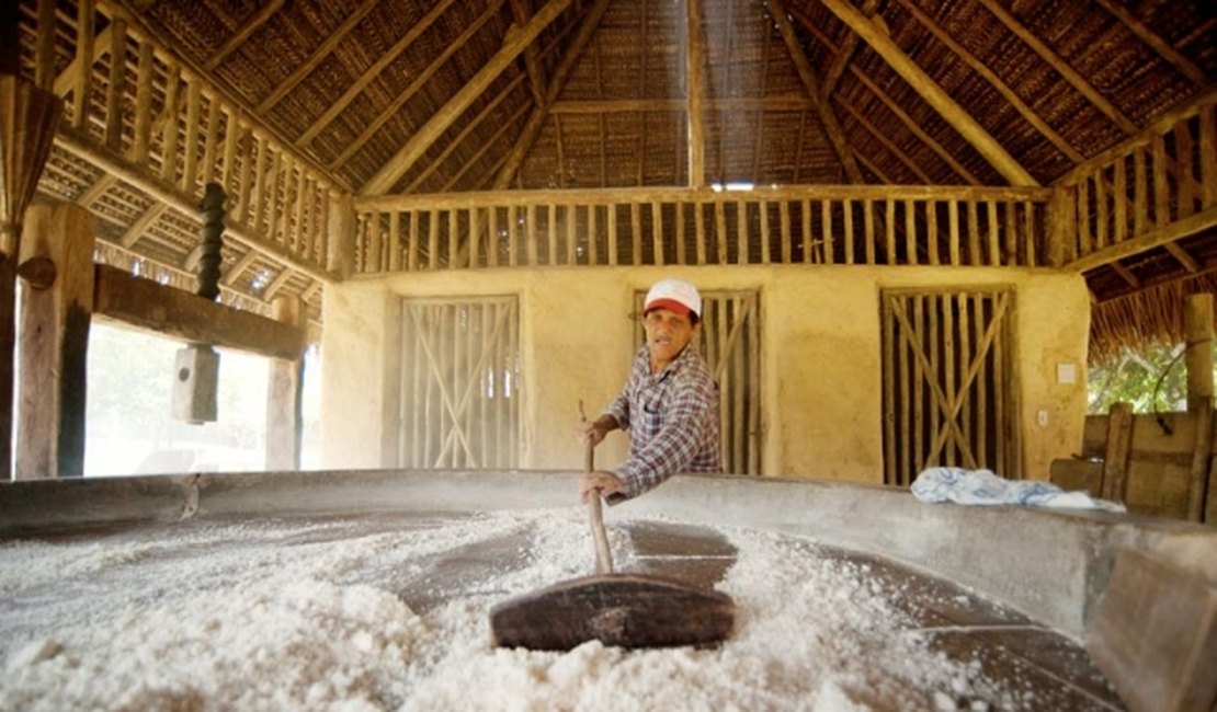 Casas de farinhas serão reabertas em Arapiraca