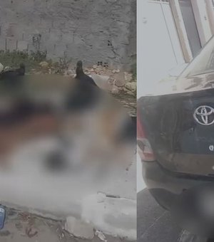 Motorista que atropelou e matou quatro cachorros em Maceió é identificado pela Polícia Civil