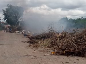 [Vídeo] Fogo em vegetação mais um vez,' 'inferniza' a vida dos moradores