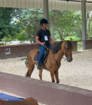 Girau capacita profissional em curso especializado para tratamento de equoterapia em Brasília