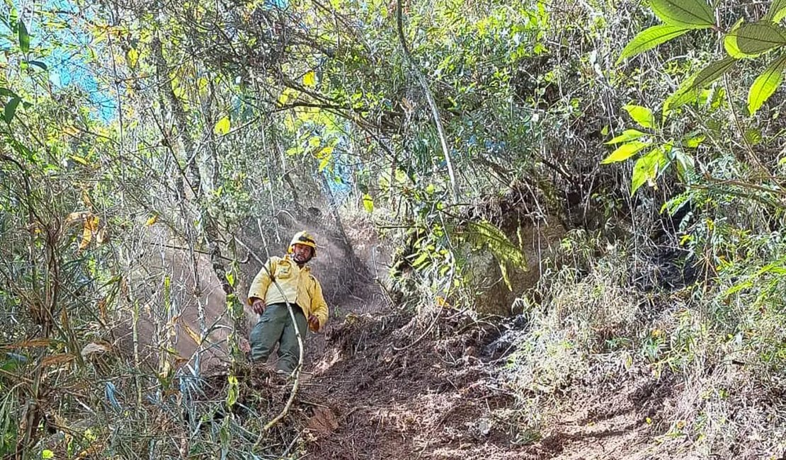 ICMBio multa Exército em 6,5 milhões por incêndio florestal em parque