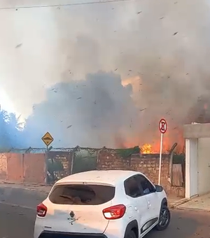 Terreno baldio pega fogo e mobiliza bombeiros no bairro Cavaco, em Arapiraca