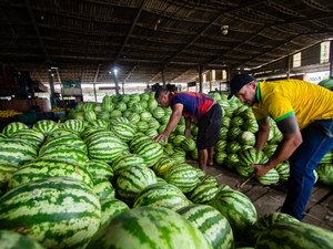 Concessão do Ceasa garante políticas de segurança alimentar do governo do Estado