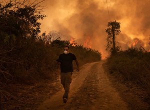 Vivemos uma situação de guerra no Pantanal, diz senador de comissão de queimadas