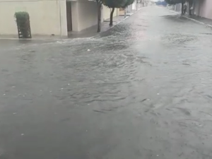 [Vídeo] Bairros de Arapiraca ficaram alagados após chuva torrencial