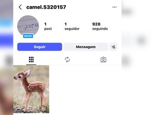 ‘Robôs comentaristas’ em postagens políticas na internet acendem alerta para engajamento artificial