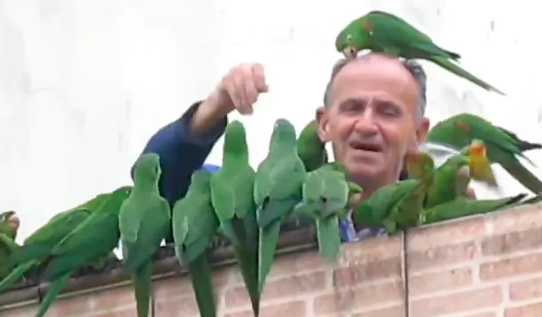 Maritacas 'batem ponto' para comer na casa de idoso 'encantador de pássaros' da Zona Leste de SP