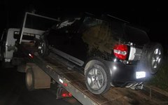 Animais soltos na rodovia AL 220  durante madrugada  provam acidente
