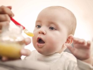 Anvisa proíbe venda de papinhas de bebê por falta de registro sanitário