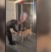 Reação de policial ao se deparar com cachorro durante prisão viraliza