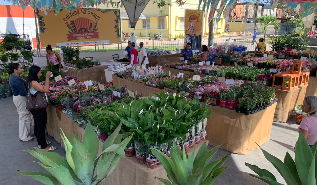 Feira de Flores Holambra chega a Arapiraca com plantas a partir de R$ 5