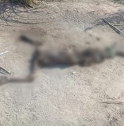Corpo em avançado em estado de decomposição é encontrado em São Luís 