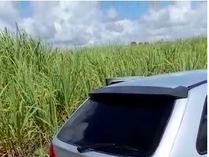 Carros são encontrados sem pneus em Chã de Matriz de Camaragibe, Norte de Alagoas