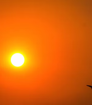Novo veranico chega ao Nordeste com calor de até 42°C no interior