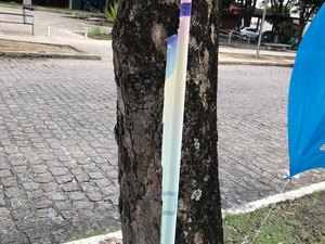 Vandalismo nas eleições da Ufal: material de Tonholo é destruído em Maceió