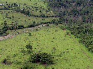 Proprietário rural pode emitir Certificado de Cadastro de Imóvel