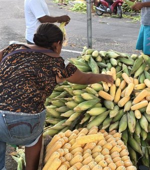 [Vídeo] Milho começa a ser comercializado em Arapiraca por R$25 a mão