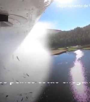 Milhares de peixes são lançados de avião em lago nos EUA