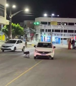 Polícia e SSP apuram caso de policiais assasinados por colega dentro de viatura em AL