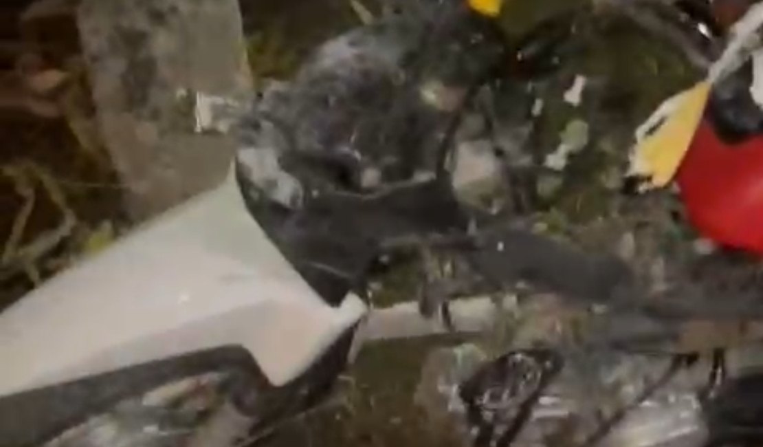 Motociclista fica ferido ao colidir contra cavalo solto na pista no município de Anadia