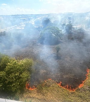Incêndio de grandes proporções atinge vegetação na Avenida Menino Marcelo