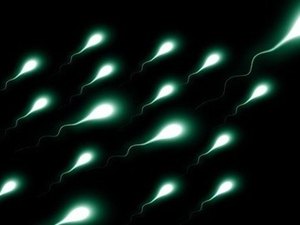 Sêmen congelado consegue sobreviver ao espaço, diz pesquisa