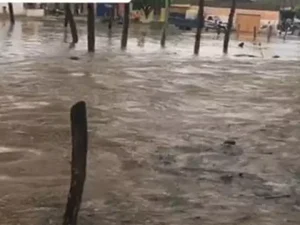 Dois Riachos: Nível do Rio está prestes a ultrapassar o nível da ponte