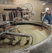 Casas de farinha do Agreste inovam no uso de resíduo venoso da mandioca