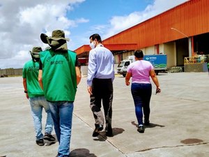 Primeiro trimestre de 2021 registra quase 400 processos de fiscalização ambiental