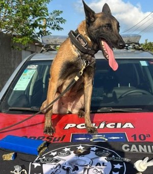 PM cumpre mandado judicial e efetua prisões por tráfico de drogas no Litoral Sul