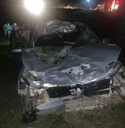 Boi invade pista e provoca acidente com feridos em Porto Calvo