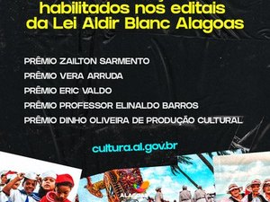 Cultura divulga resultado preliminar dos últimos editais da Lei Aldir Blanc
