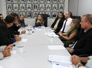 ?Comissão discute propostas para implantação do projeto-piloto do Selo Digital